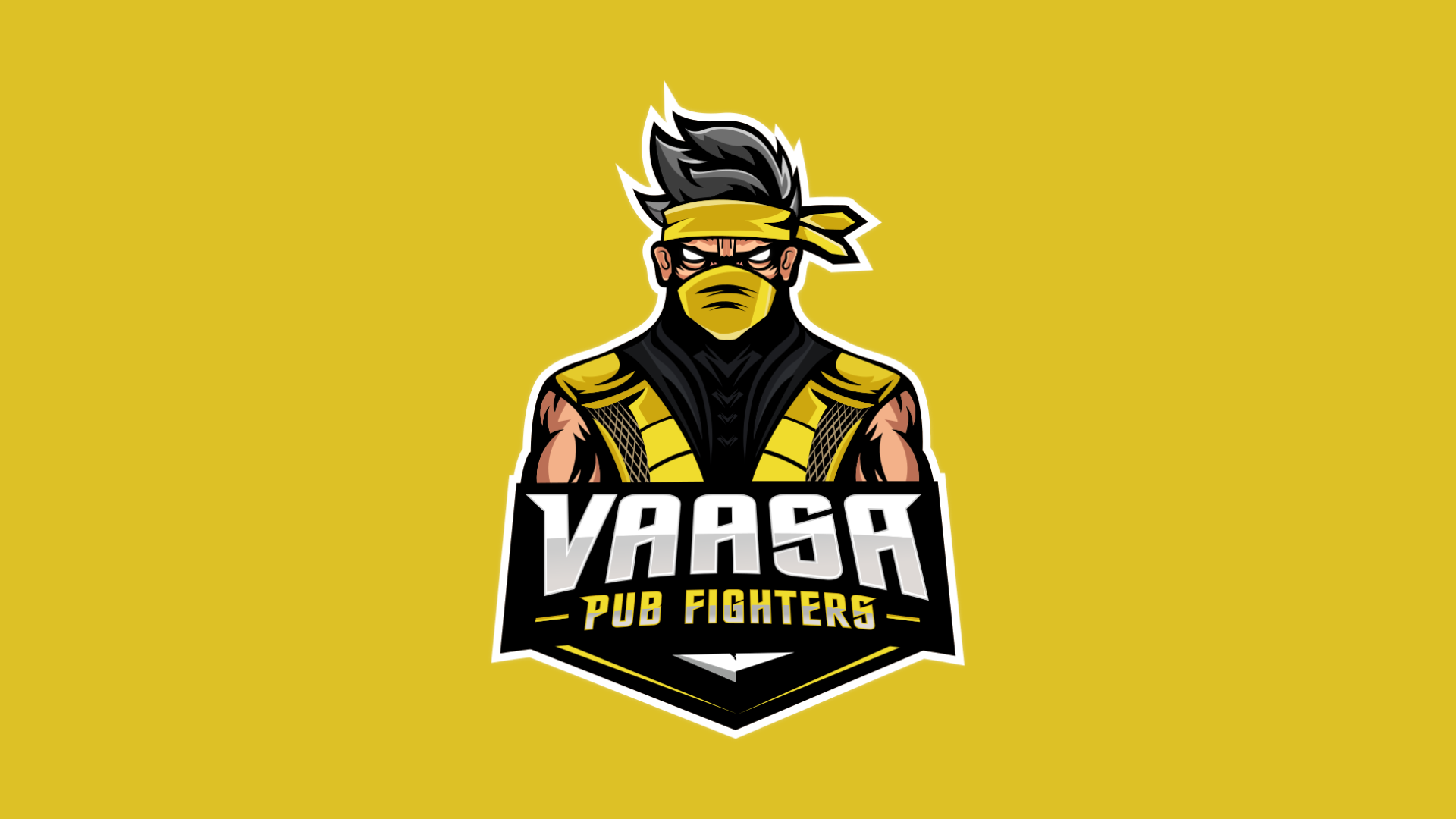 Vaasa Pub Fighters