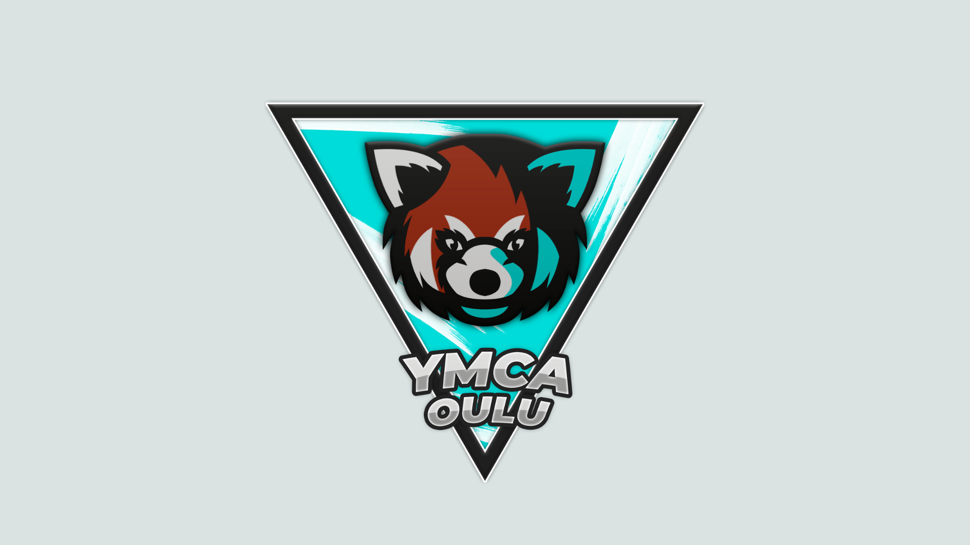 Oulun NMKY / YMCA Oulu Esports